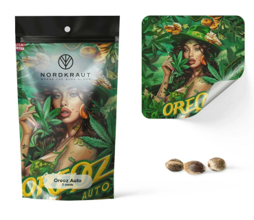 Samen 3x Oreoz Automatik Nordkraut